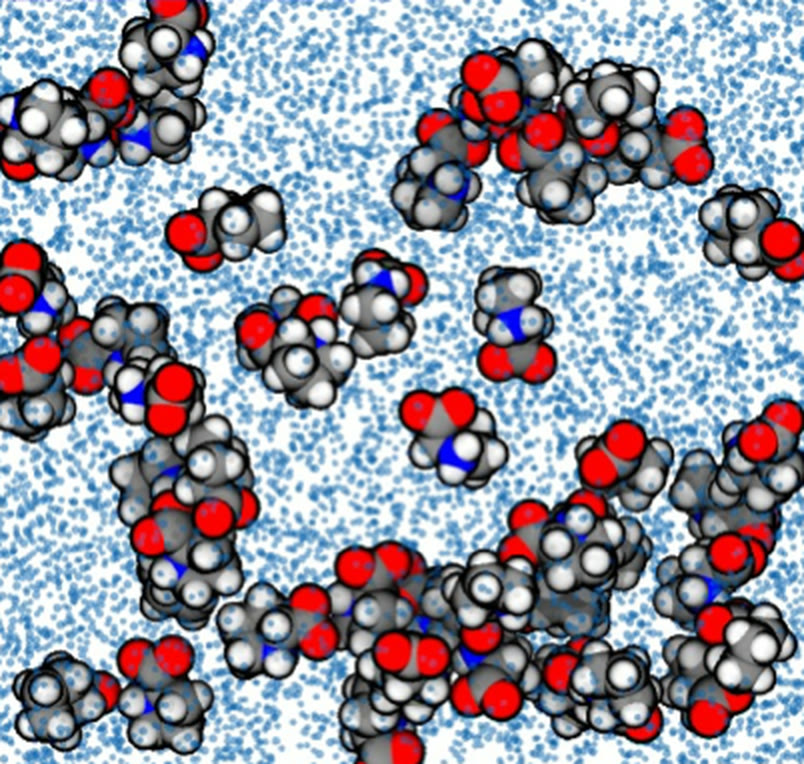 Snapshot of a concentrated amino acid solution in a simulation box